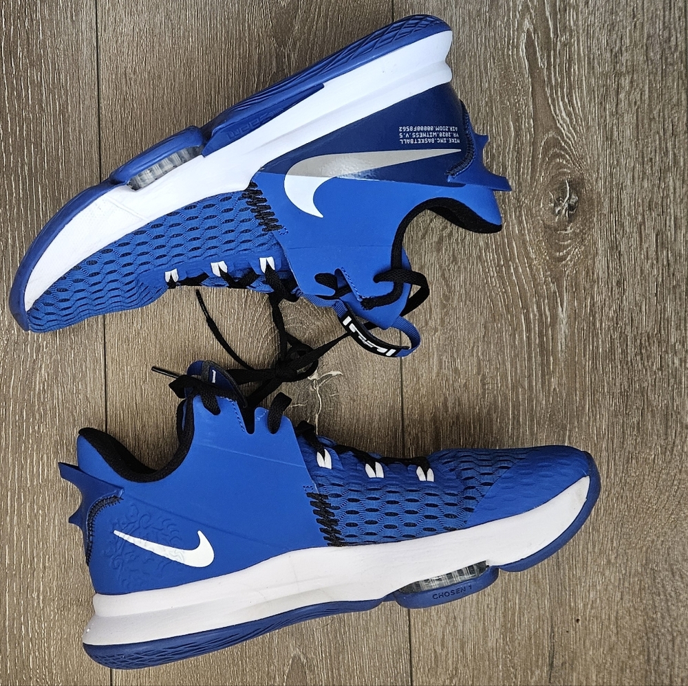 Nike 2020 Lebron Witness V.5 Air Zoom sz 11.5